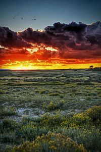 Scenic view of sunset over sea