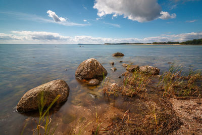 Scenic view of sea shore against sky