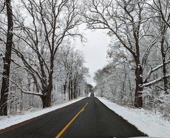 Bare trees on snow covered landscape