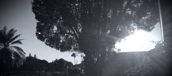 Silhouette trees against sky