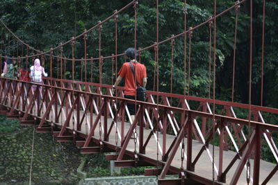 Rear view of men walking on footbridge in forest