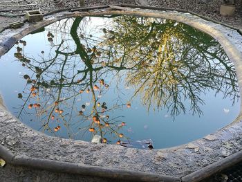 Reflection of trees in lake against sky