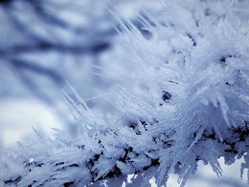 Close-up of snow on field against sky