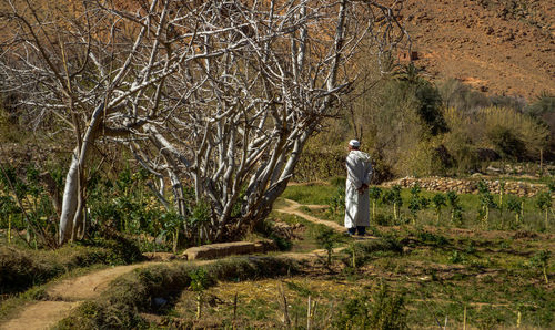 Rear view of man standing amidst trees at forest