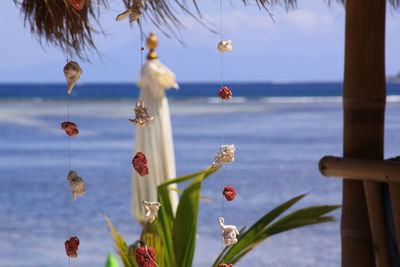 Close-up of flowering plants against sea