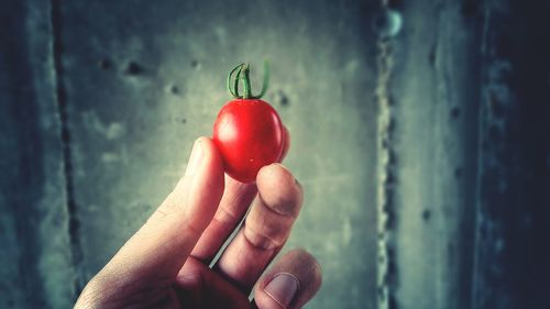Close-up of hand holding cherry tomato
