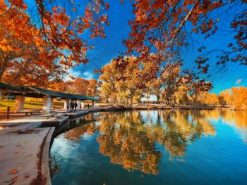 Reflection of trees in calm lake