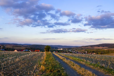 Scenic view of agricultural field against sky during sunset