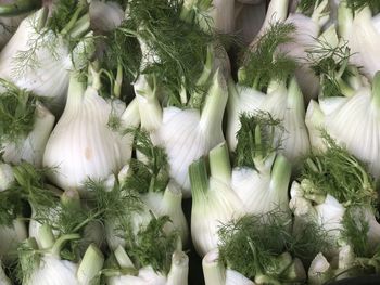 Full frame shot of vegetables for sale in market
