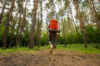 Rear view of woman standing in forest