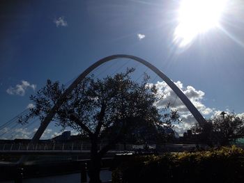 Sun shining through trees