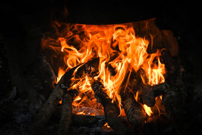 Bonfire at night