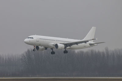 Airplane flying in sky