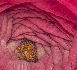 Full frame shot of fabric