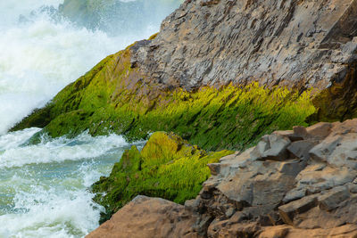 Scenic view of rocks in sea