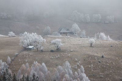 Mountain winter scene in the rural transylvania