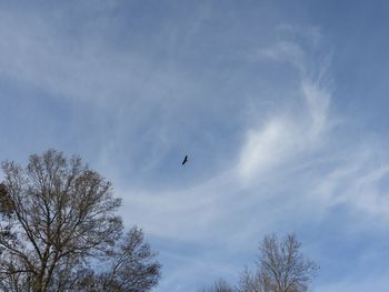 Low angle view of silhouette birds flying against sky