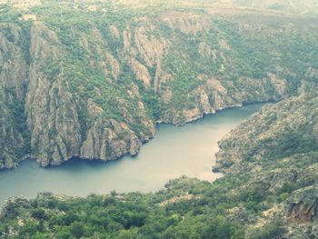 Scenic view of river amidst trees in forest