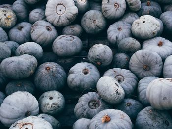 Full frame shot of pumpkins for sale at market stall