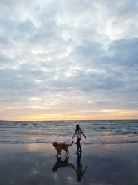 Dog on beach during sunset