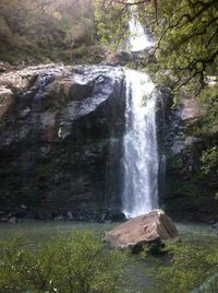 Waterfall in forest