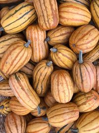 Full frame shot of pumpkins for sale