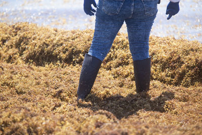 Detail of the legs of a mexican woman with boots and gloves immersed in the sargassum in mexico