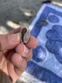 Close-up of human hand holding small
