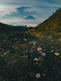 Scenic view of mountains against sky