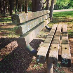 View of trees at park