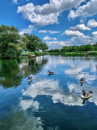 Birds swimming in lake against sky