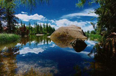 Scenic view of lake by trees in forest against sky