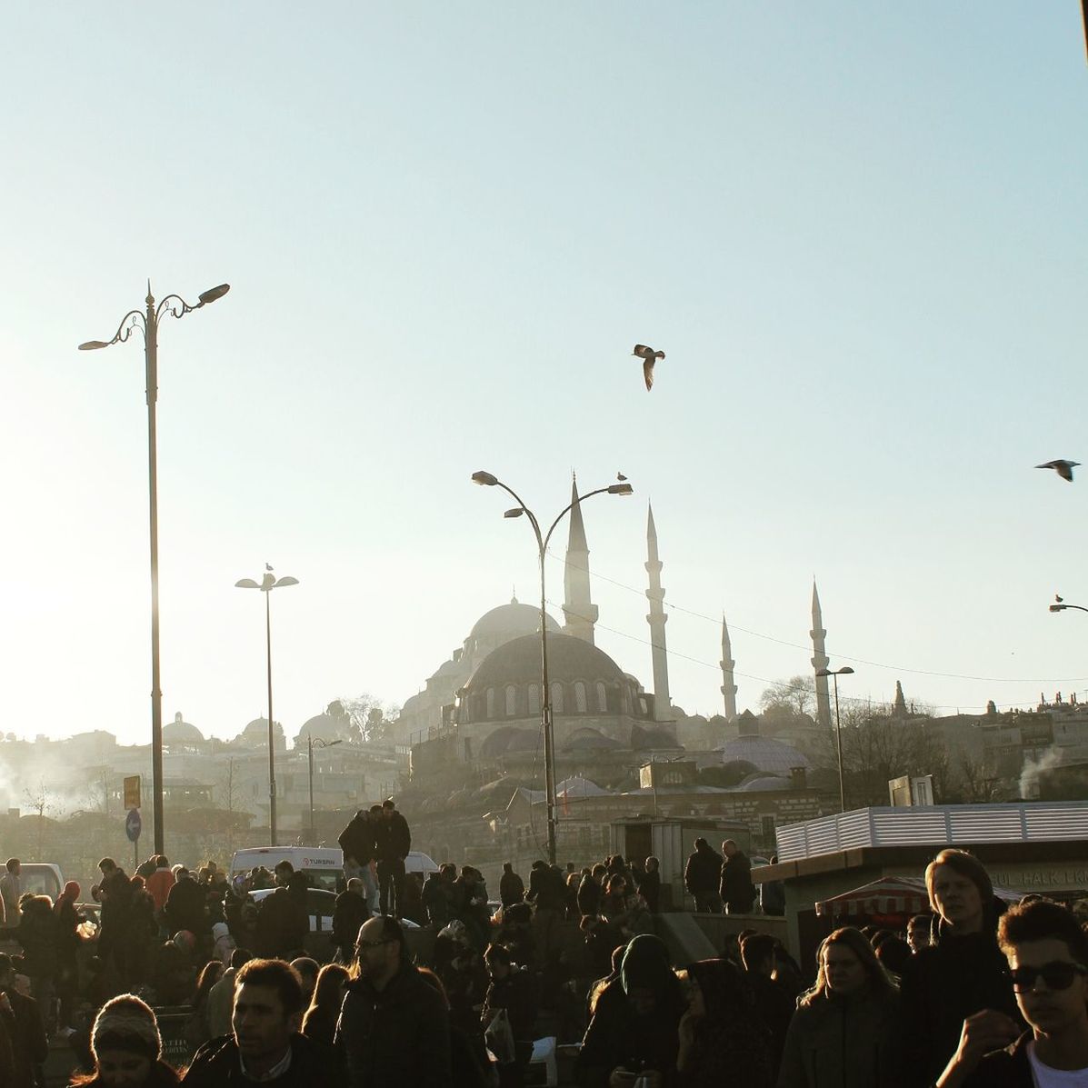 sky, architecture, flying, street, group of people, real people, built structure, bird, street light, crowd, clear sky, nature, building exterior, city, vertebrate, large group of people, day, outdoors, watching