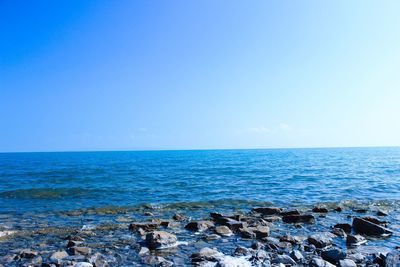 Scenic view of sea against clear sky