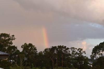 Rainbow over trees against cloudy sky