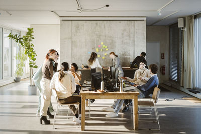 Multiracial male and female colleagues working in creative office