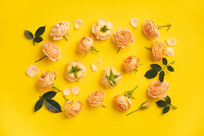 Directly above shot of flowers against yellow background