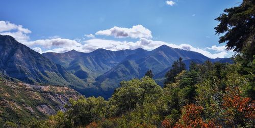 mountain