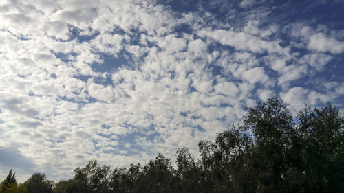 Low angle view of trees against cloudy sky