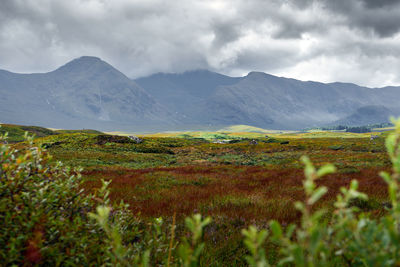 Scenic view of landscape and mountains against sky