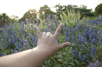 Cropped image of hand making gesture against flowers blooming at park