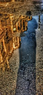 Reflection of trees in puddle