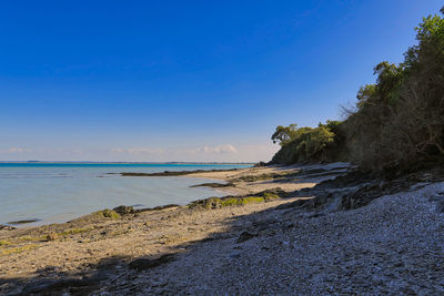 Scenic view of beach against blue sky