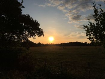 Scenic view of field against sky during sunset