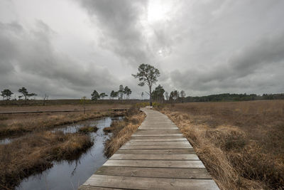 Wooden boardwalk, the dragonfly trail through thursley common in surrey, uk.