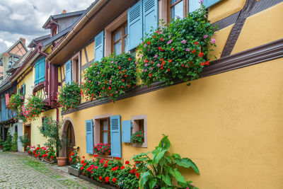 Picturesque historical street in eguisheim, alsace, france