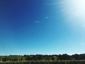 Scenic view of field against clear blue sky