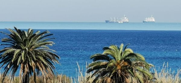 Scenic view of sea against clear sky