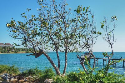 Scenic view of sea against clear blue sky