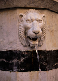 Close-up of sculpture against wall